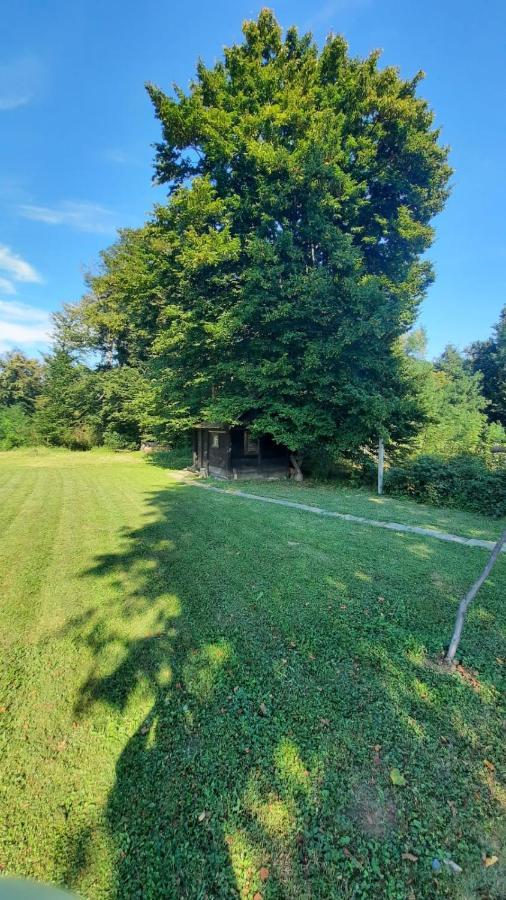 M&M Kuca Za Odmor Vila Vrbovec Exterior foto